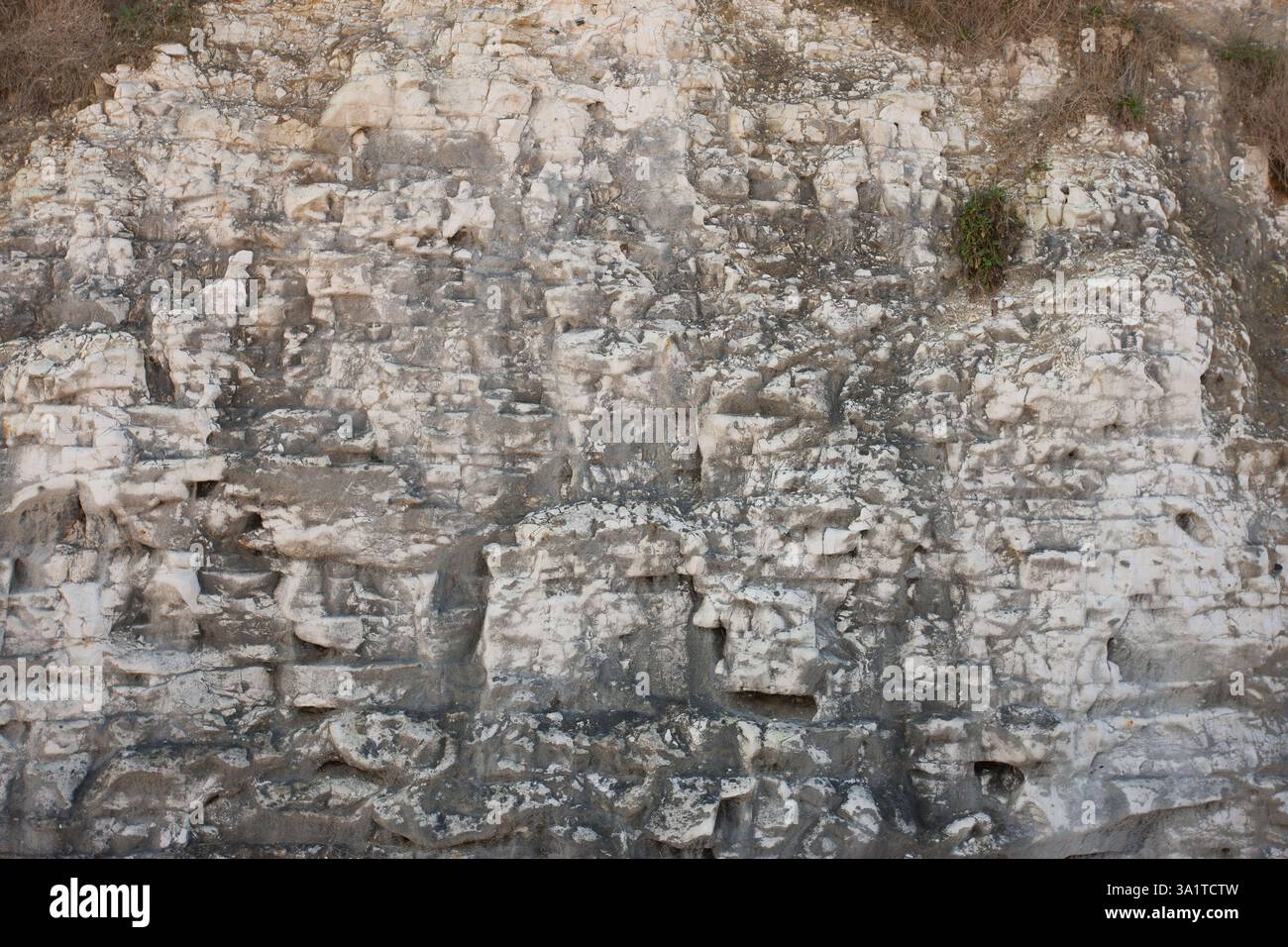 Botany Bay è una baia isolata, situata tra Margate e Broadstairs, che offre splendide vedute delle bianche scogliere e del mare Foto Stock