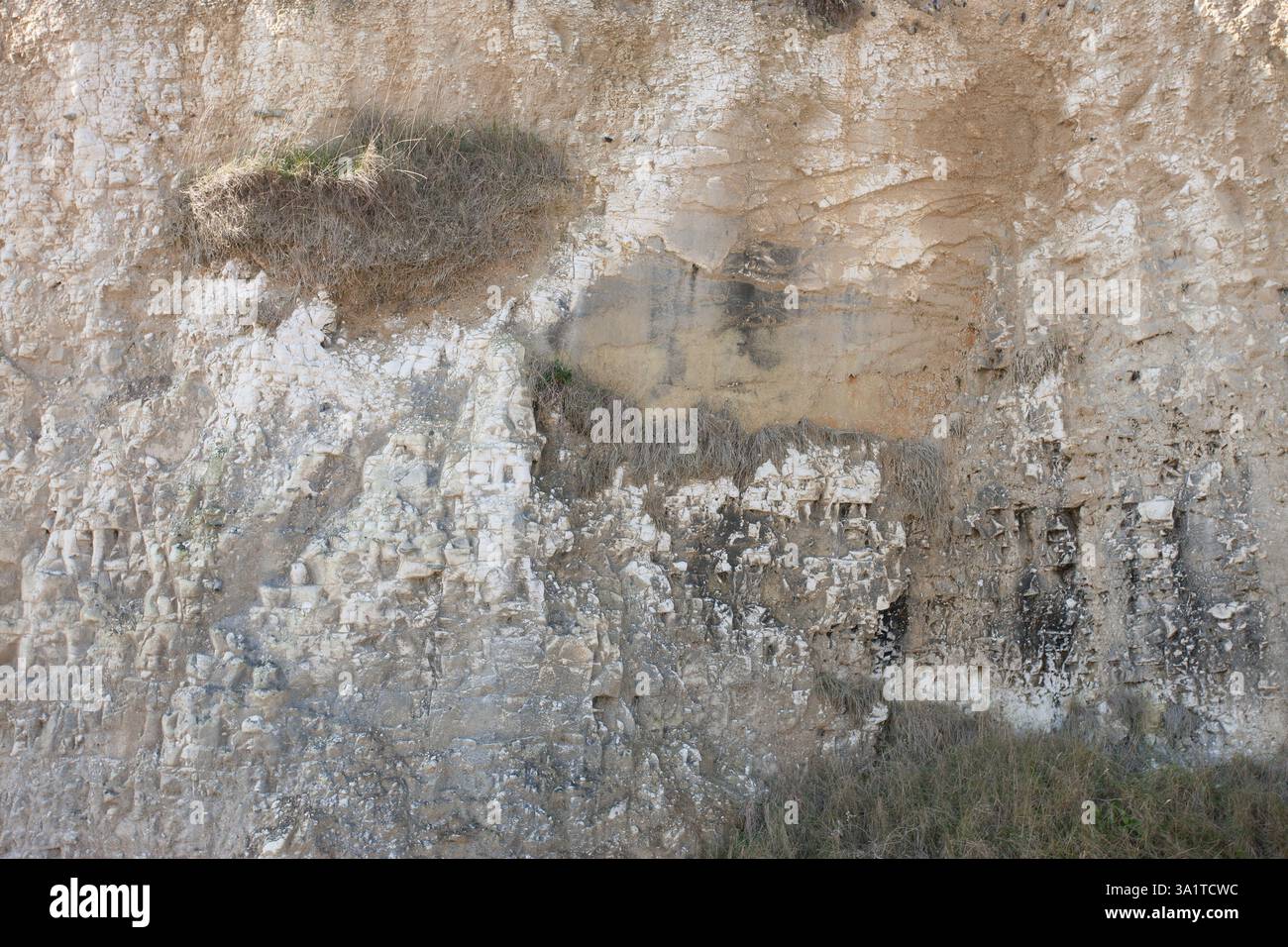 Botany Bay è una baia isolata, situata tra Margate e Broadstairs, che offre splendide vedute delle bianche scogliere e del mare Foto Stock