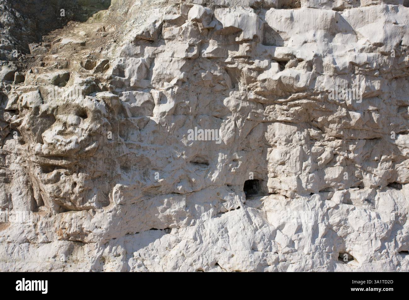 Botany Bay è una baia isolata, situata tra Margate e Broadstairs, che offre splendide vedute delle bianche scogliere e del mare Foto Stock