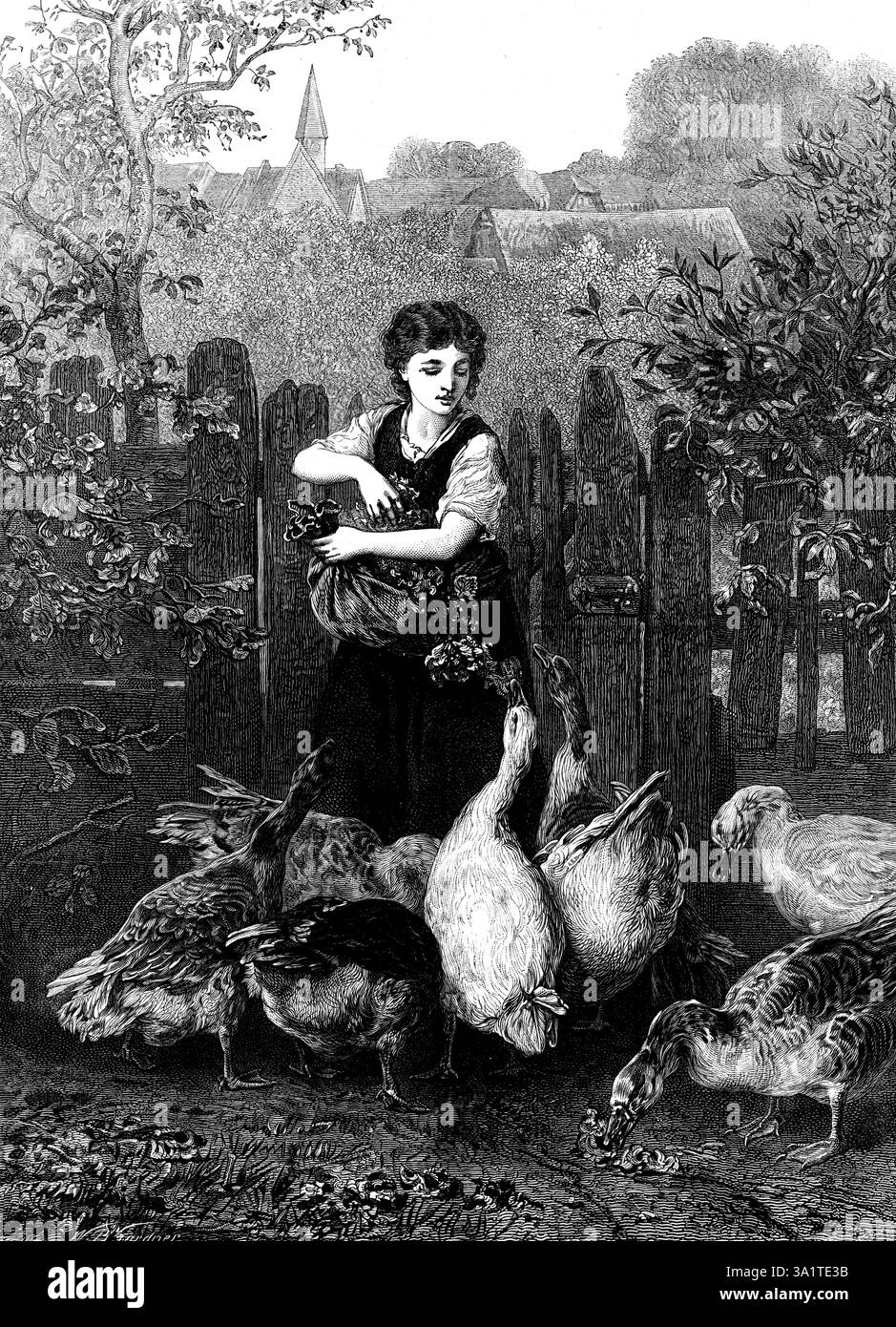 "Uno alla volta" di E. Knaus, 1873. La proverbiale ammonizione "uno alla volta!" Ha ricevuto un'illustrazione esemplare dalla matita di un artista tedesco, il cui lavoro è copiato nella nostra incisione. Nell'alimentazione delle oche o dei tacchini, dei polli da cortile o di qualsiasi altro pollame, nonché nell'alimentazione dei maiali, si hanno spesso occasioni di dare loro le loro maniere. I tacchini sono gli uccelli domestici più golosi e hanno una capacità prodigiosa di sfogliare il più possibile. Loro e le oche dovrebbero essere spedite giornalmente per raccogliere gran parte del loro necessario nutrimento in qualche f Foto Stock