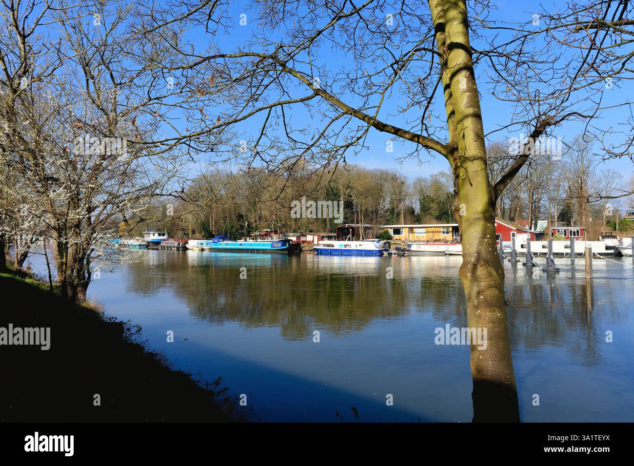 Il fiume e il Tamigi a Molesey in una giornata di primavera soleggiata, Surrey Inghilterra Regno Unito Foto Stock