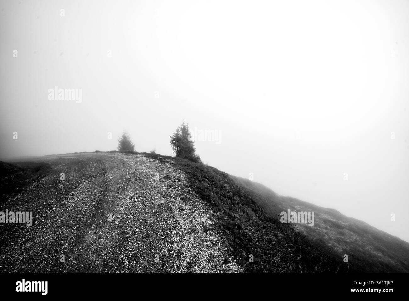 Vista da Schatzberg del paesaggio circostante. Natura idilliaca a Wildschönau nel distretto di Kufstein in Austria. Paesaggio montano nel Kitzbü Foto Stock