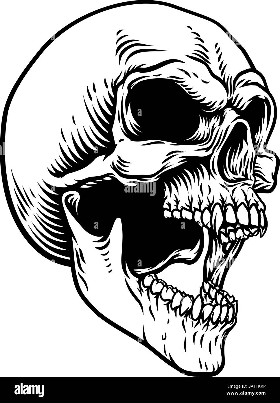 Skeleton Head Vampire Grim Reaper Illustrazione Vettoriale