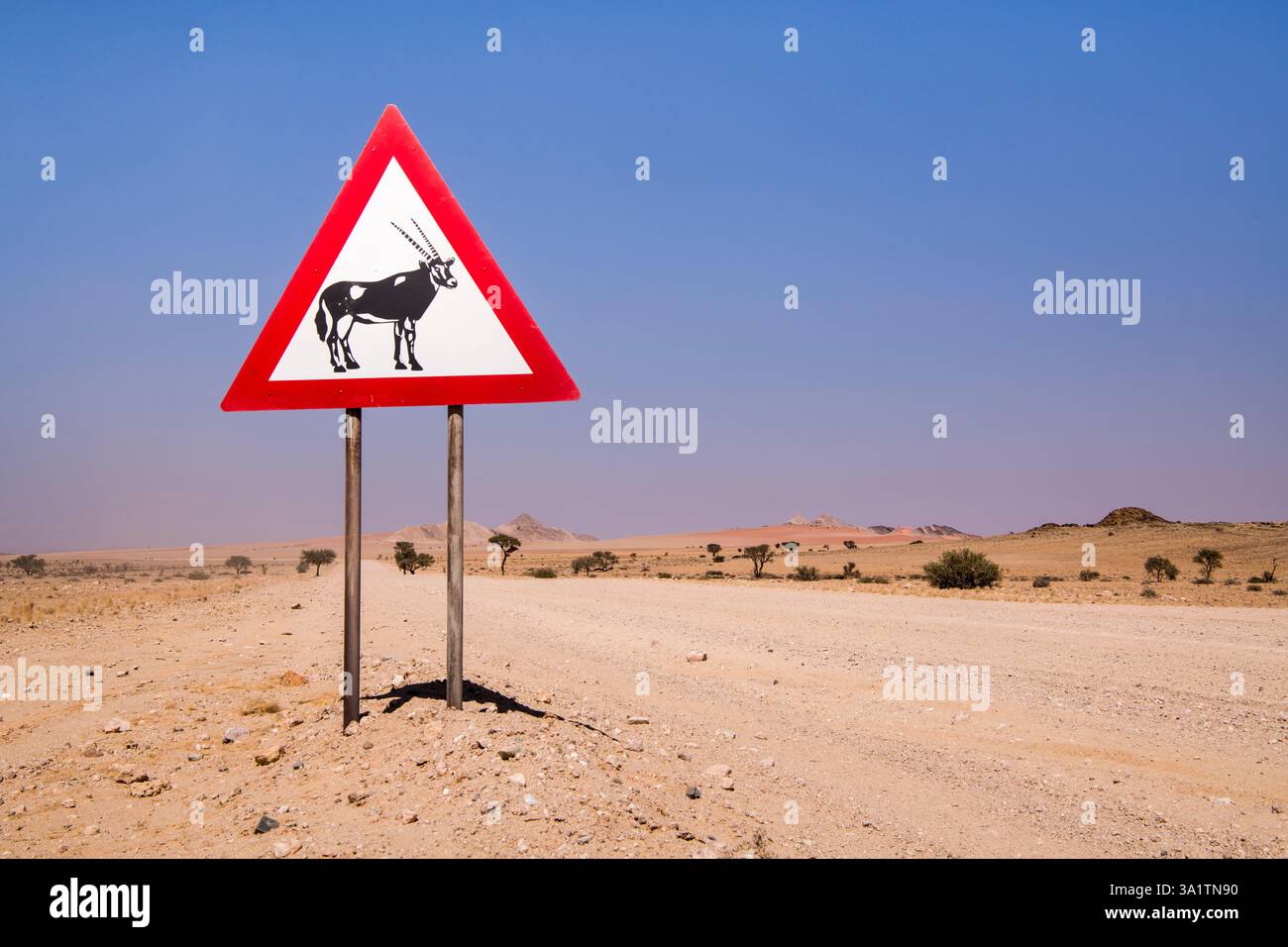 Segnale stradale attenzione a Oryx Antelopes, Namibia Foto Stock