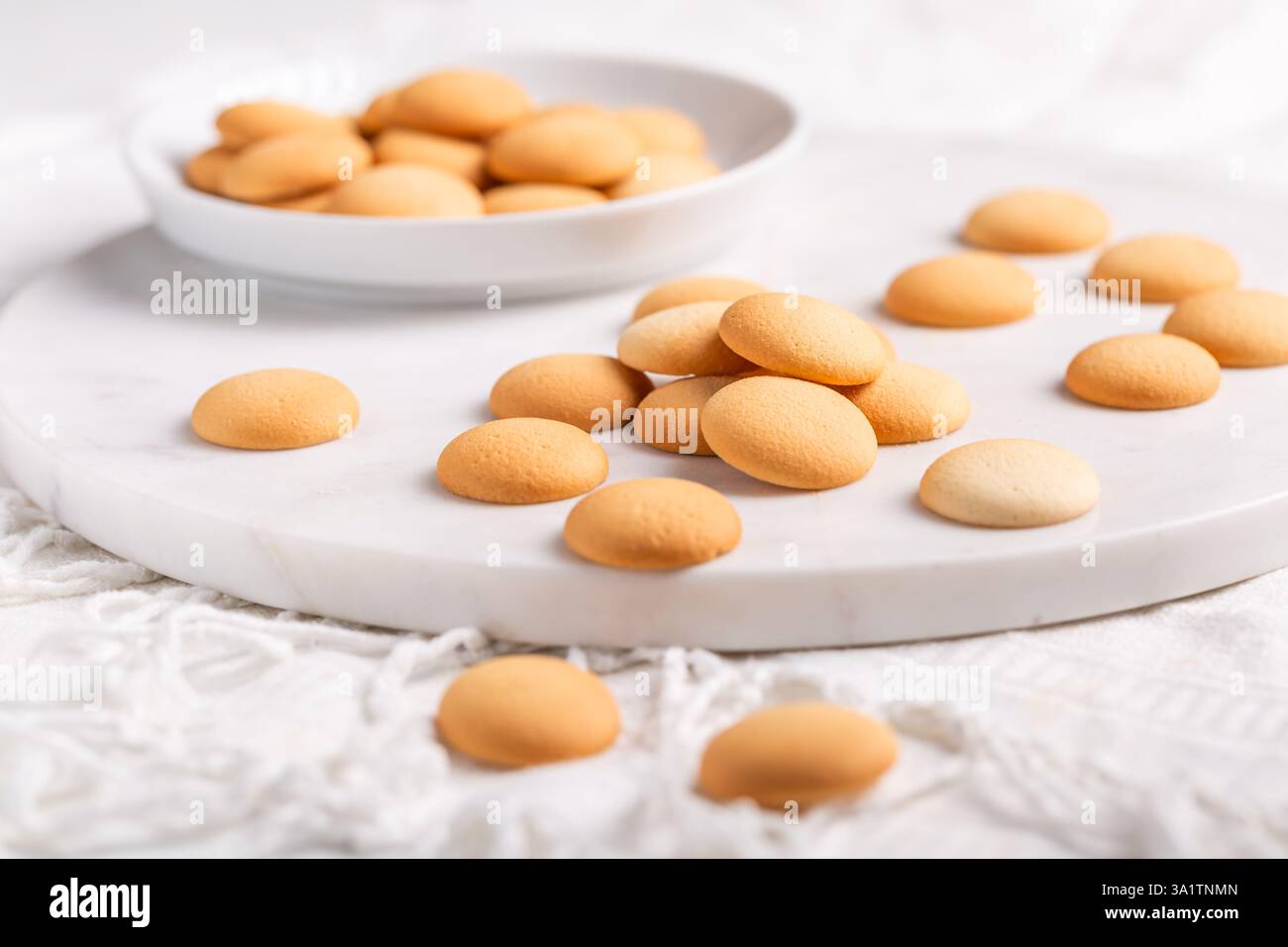 Piccoli biscotti alla spugna, biscotti al burro con ingredienti Foto Stock