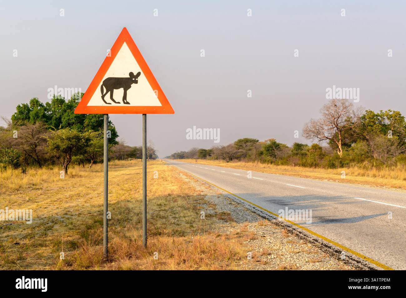 Segnale stradale attenzione ai cani selvatici africani, Namibia Foto Stock