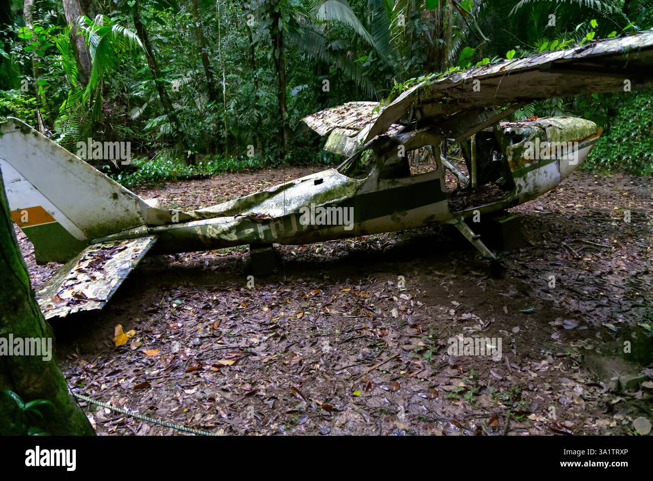 L'aereo si è schiantato nella foresta del Cockscomb Basin Wildlife Sanctuary, Belize Foto Stock