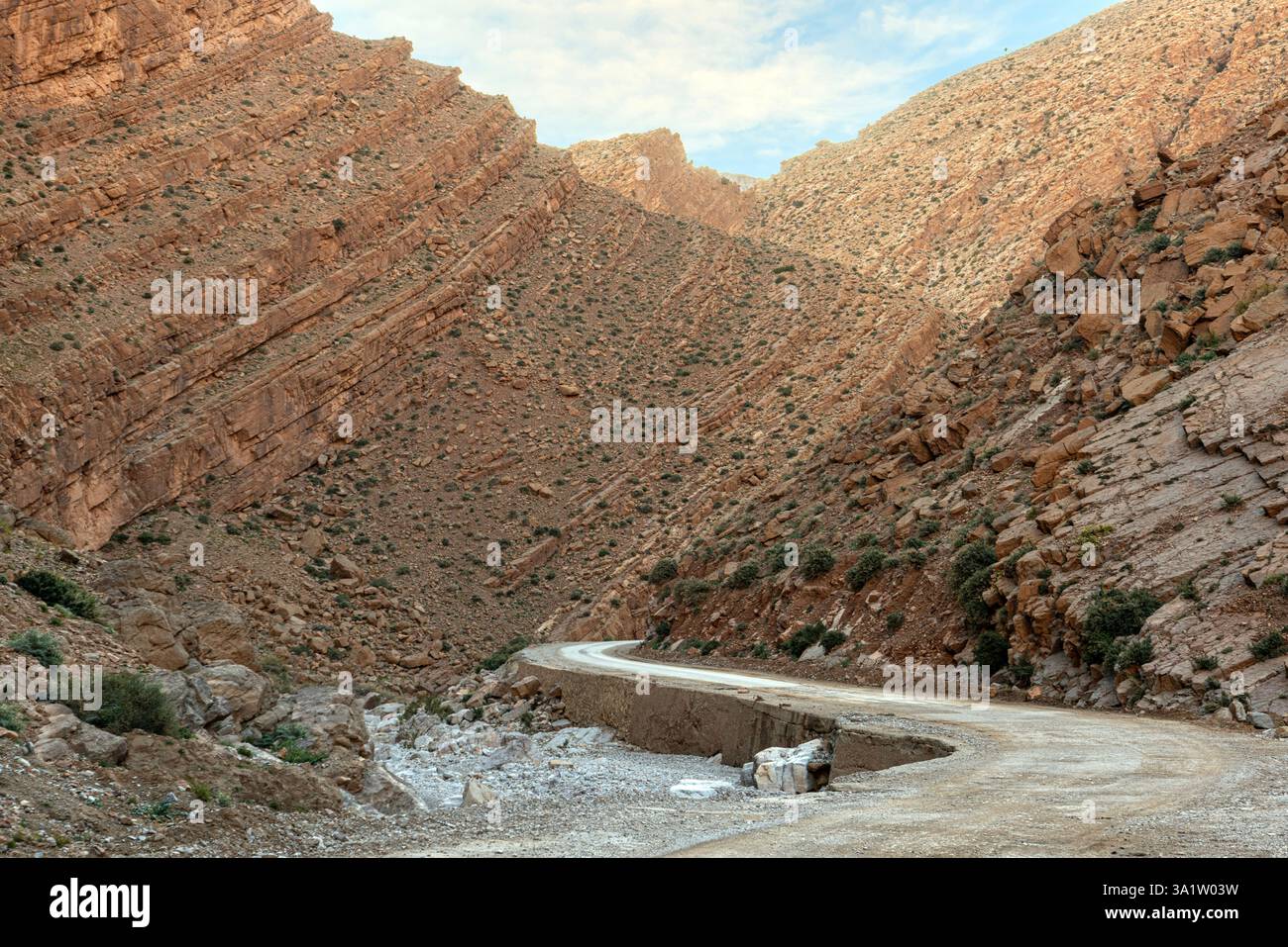 Situate vicino alla città di Tinghir, le gole di Todgha sono una serie di canyon fluviali calcarei situati nelle montagne orientali dell'alto Atlante del Marocco. Foto Stock
