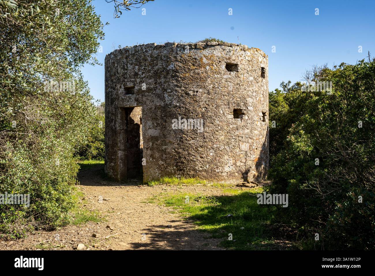 Rovine di un vecchio mulino nel Poggio del Molino nel Parco Archeologico di Baratti e Populonia, nel Golfo di Baratti, Toscana, Italia Foto Stock