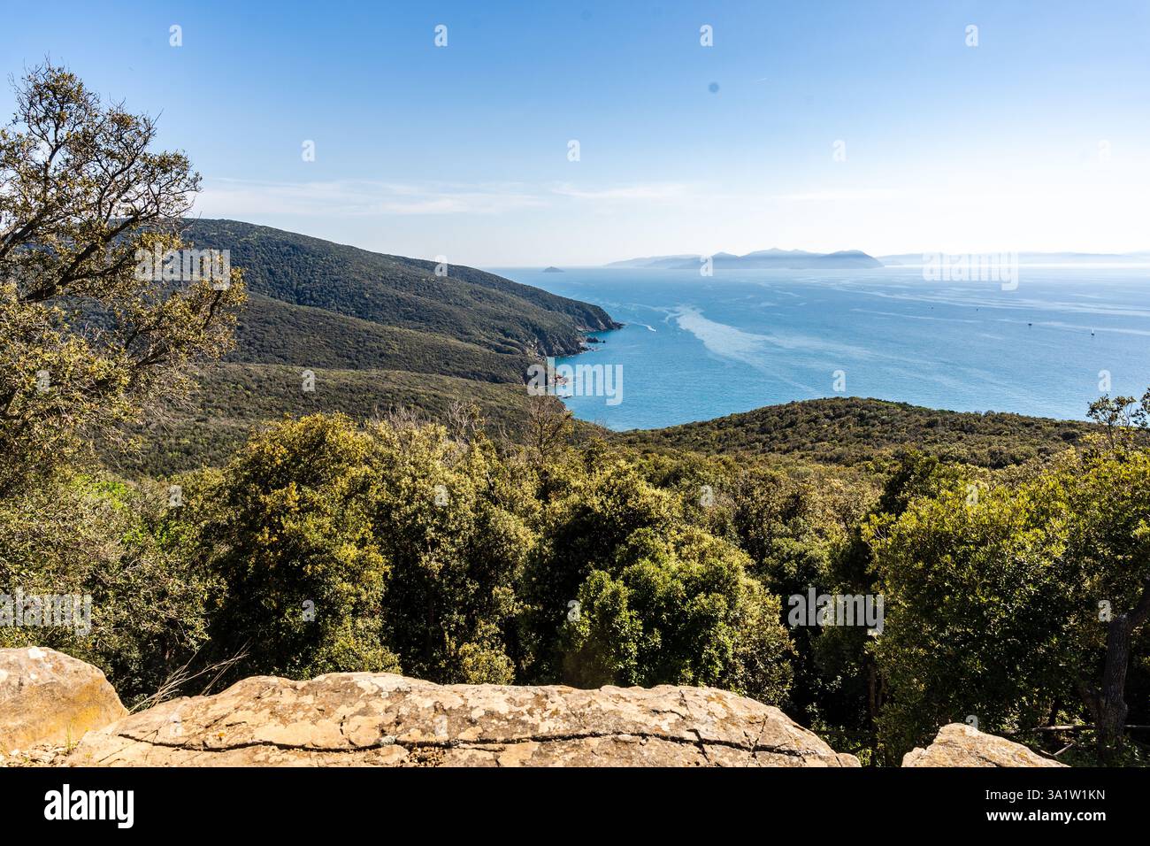 La costa lungo il promontorio di Piombino e Cala San Quirico, vista da un sentiero nel Parco Archeologico di Baratti e Populonia, Toscana, Italia Foto Stock