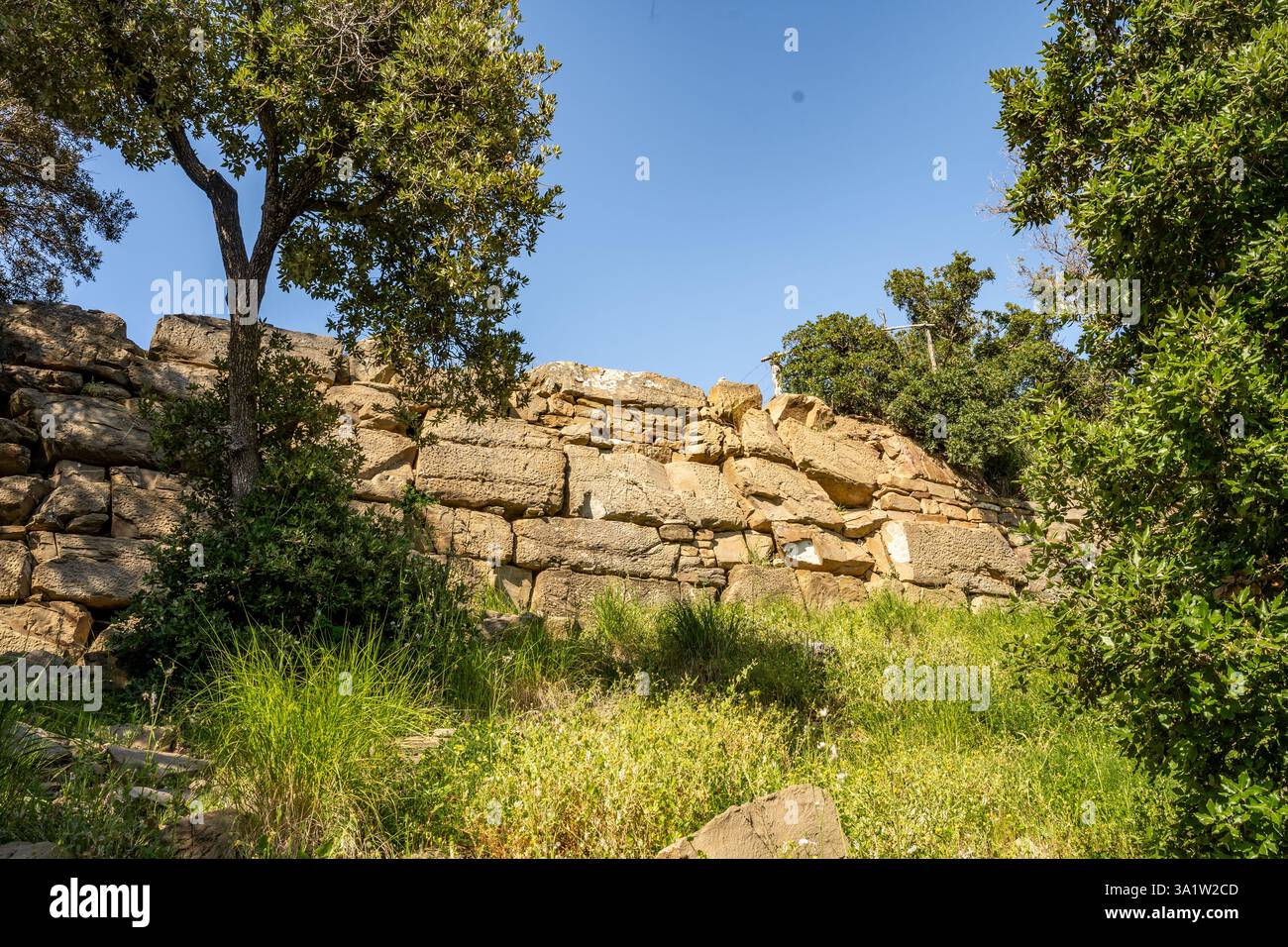 Resti di un muro nell'Acropoli di Populonia, Parco Archeologico di Baratti e Populonia, Golfo di Baratti, provincia di Livorno, Toscana, Italia Foto Stock
