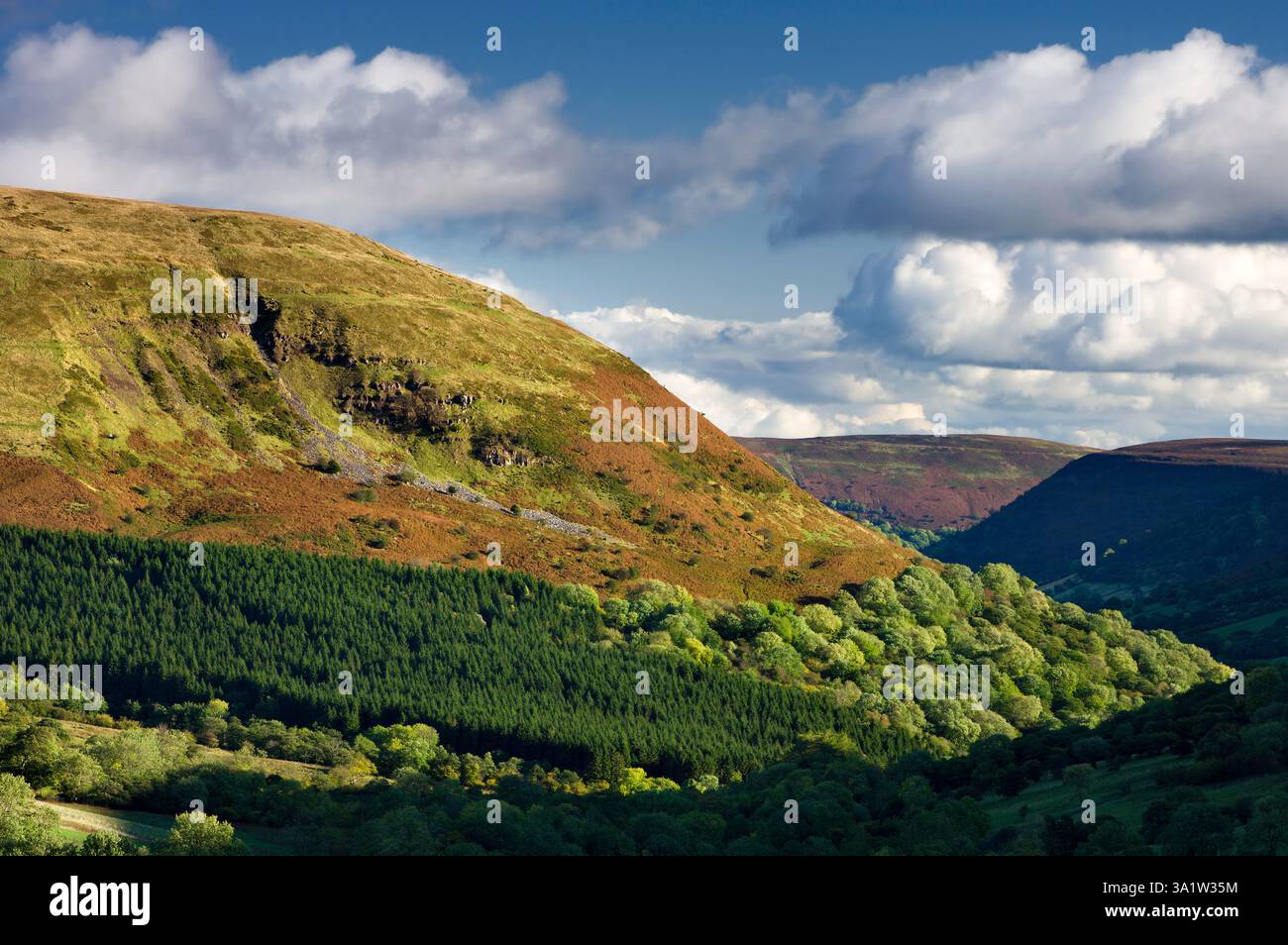 Vale of Ewyas e Offa's Dyke, Parco Nazionale di Brecon Beacons, Monmouthshire, Wales, Regno Unito. In autunno (ottobre) 2009 Foto Stock