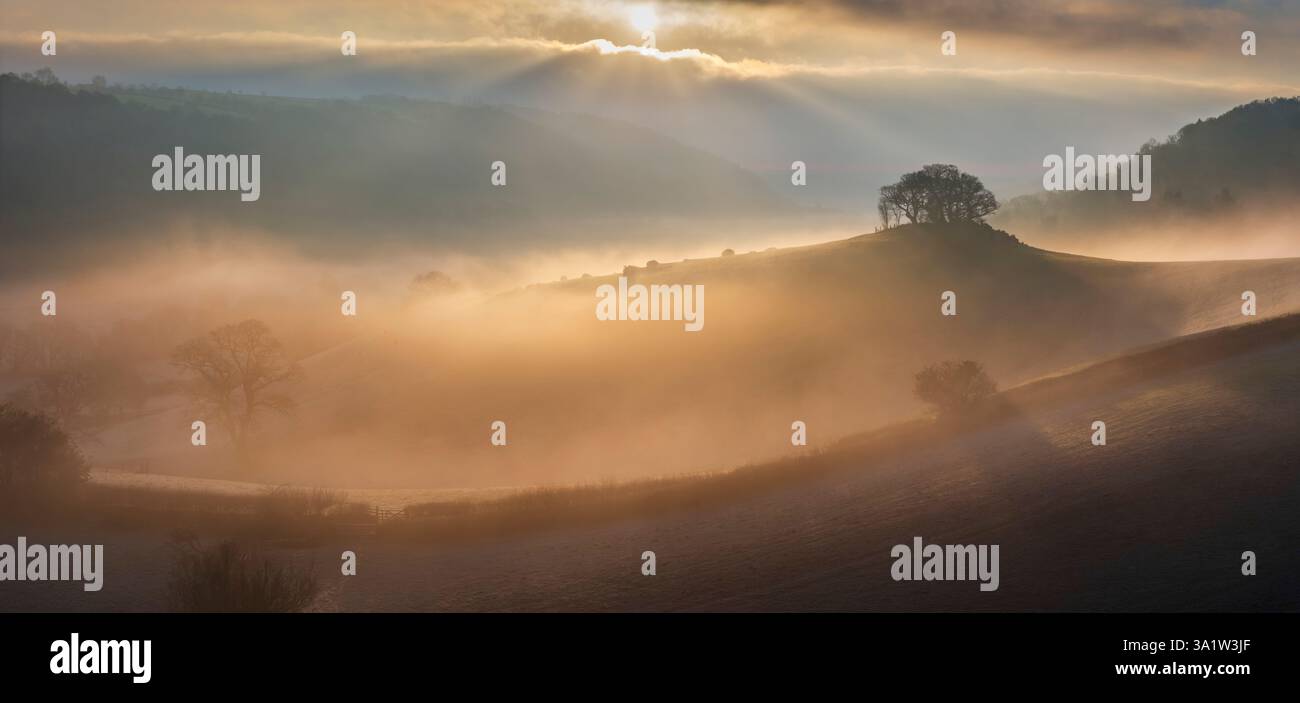 Campagna protetta dalla nebbia all'alba, Dartmoor National Park, Devon, Inghilterra. Inverno (gennaio) 2025. Foto Stock
