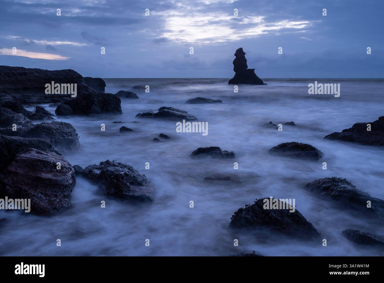 Seastack al largo della costa del Devon, Inghilterra. Inverno (febbraio) 2025. Foto Stock