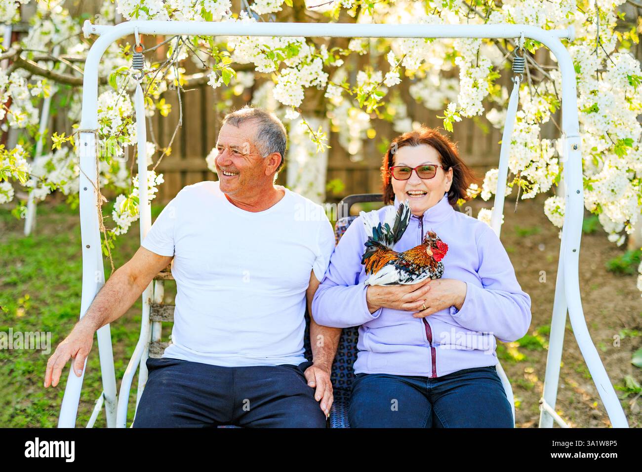 Coppia di mezza età, in un ambiente reale, ridendo felicemente nel frutteto, con la donna che tiene in mano un gallo. Foto Stock