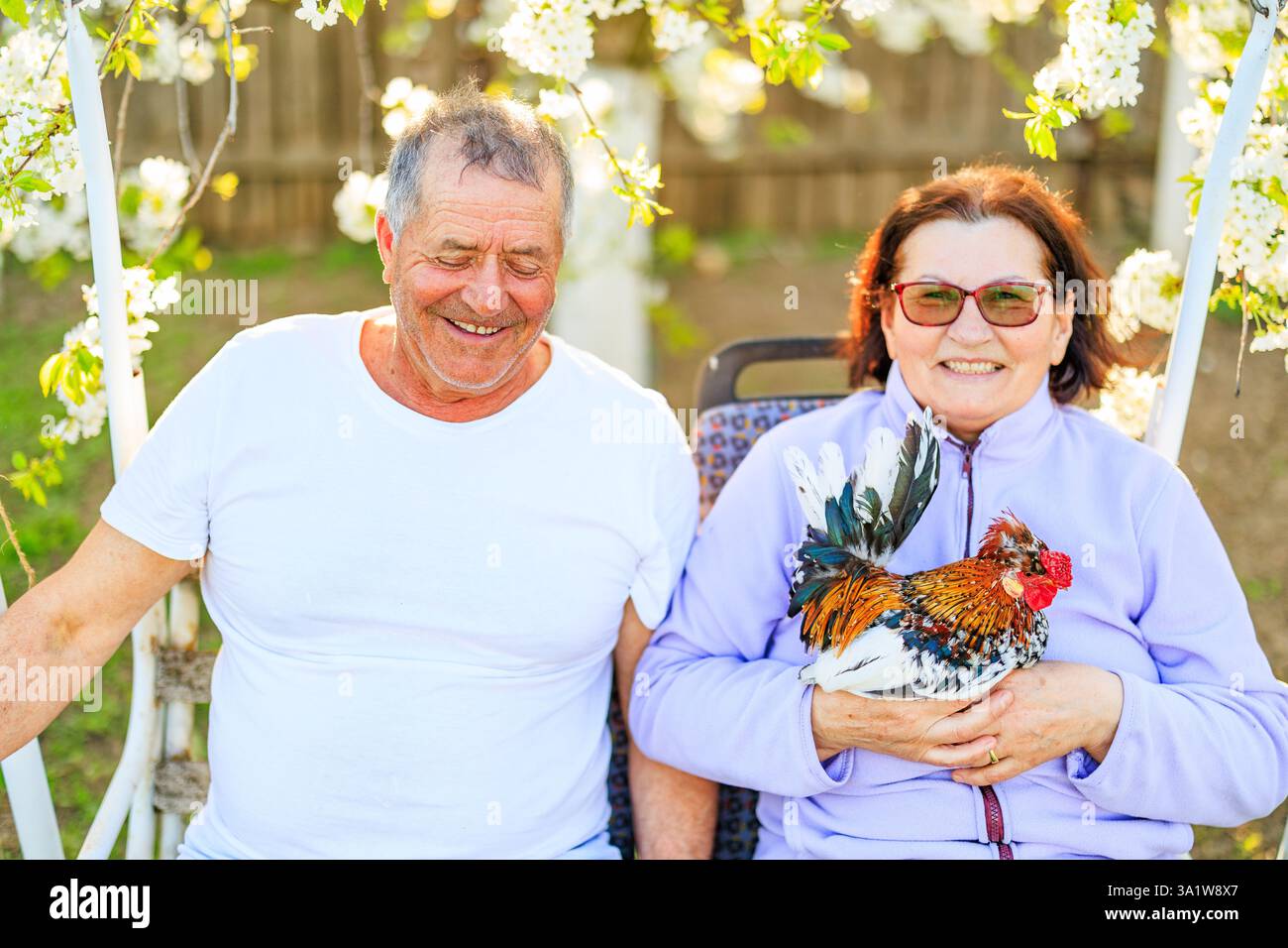 Coppia di mezza età, in un ambiente reale, ridendo felicemente nel frutteto, con la donna che tiene in mano un gallo. Foto Stock