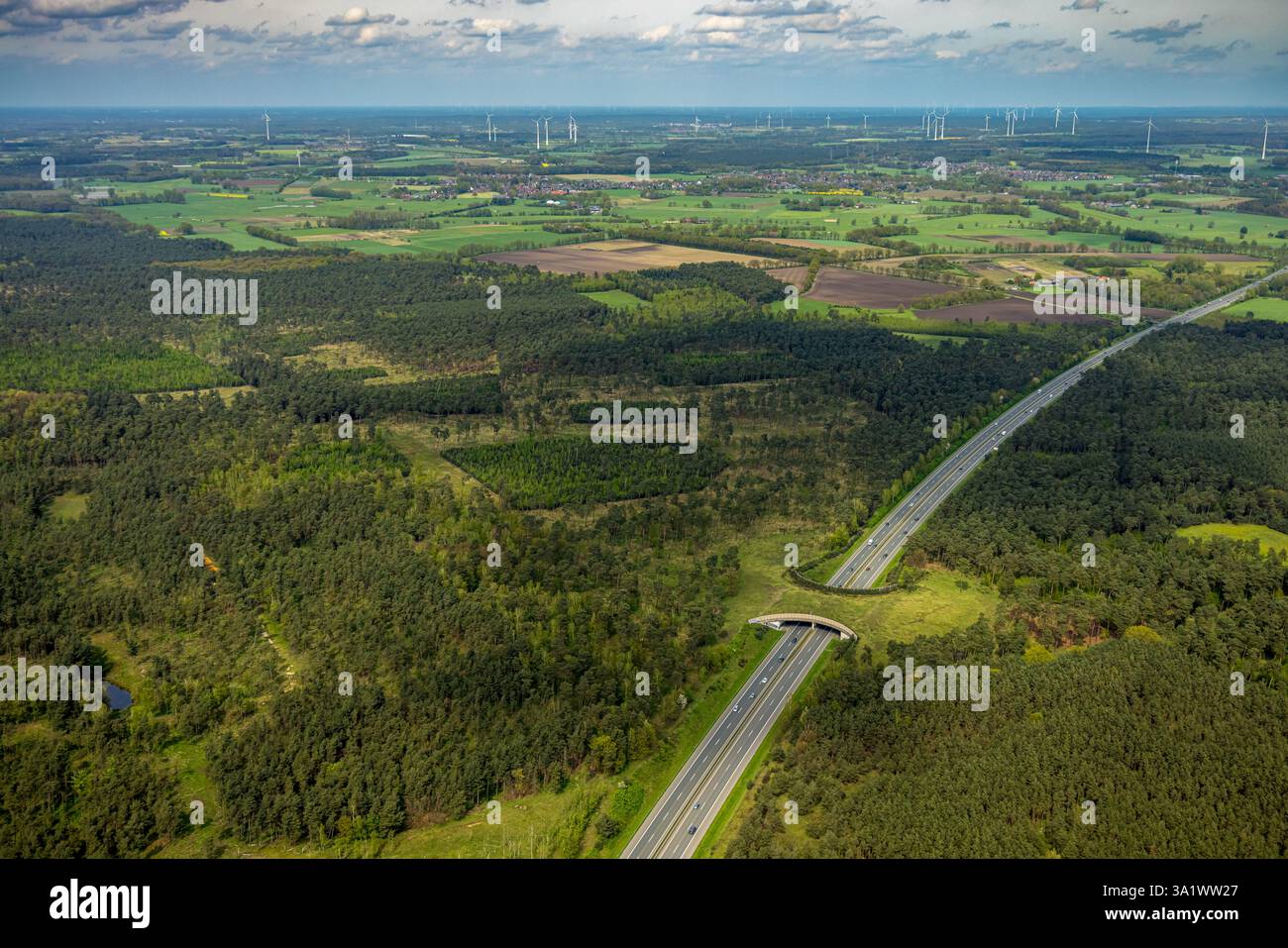 Vista aerea, area forestale Üfter di Mark, autostrada A31 con ponte verde o ponte per la caccia per attraversare in sicurezza animali selvatici, selvaggina, Altschermbeck, CH Foto Stock