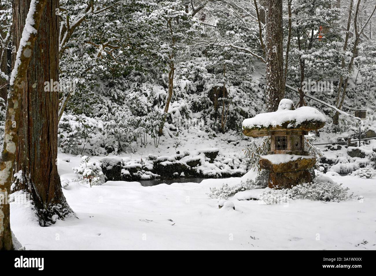 Giardino a Sanzen nel tempio buddista a Ohara vicino a Kyoto, Giappone. Foto Stock