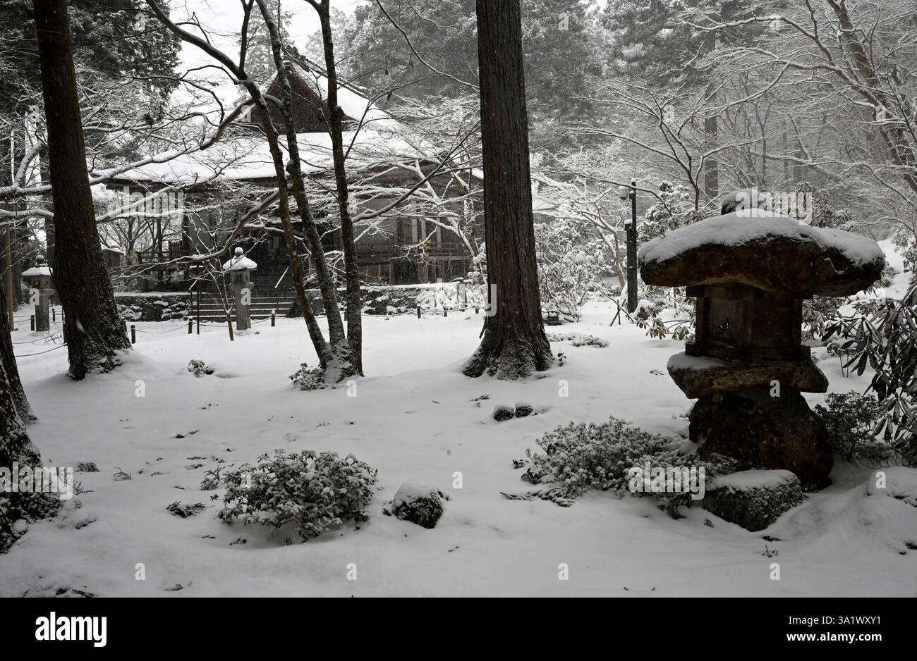 Giardino a Sanzen nel tempio buddista a Ohara vicino a Kyoto, Giappone. Foto Stock