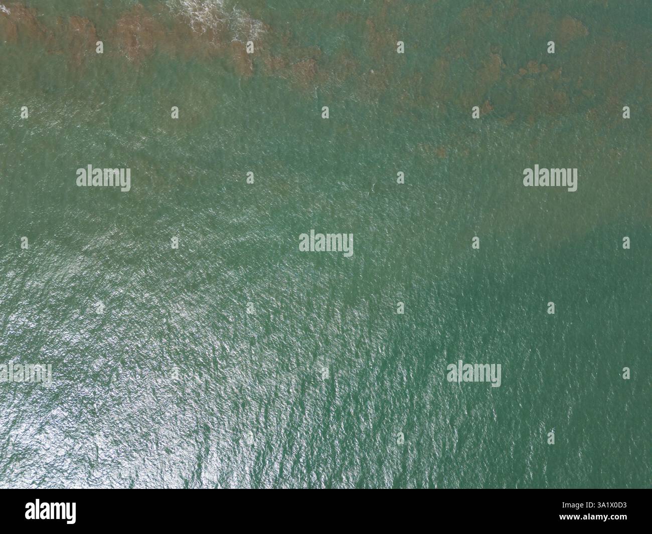Vista tranquilla delle onde dell'oceano che incontrano la spiaggia sabbiosa, con luce del sole che splende sull'acqua in una tranquilla posizione costiera. Foto Stock