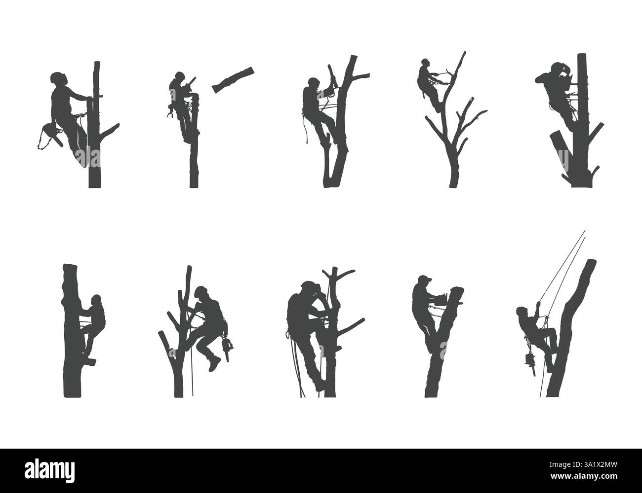 Tree Surgeon svg, arborista di alberi svg, Tree Services svg, Tree Surgeon Working svg, Tree Surgeon Working silhouette, Tree Surgeon silhouette, Tree Surge Illustrazione Vettoriale