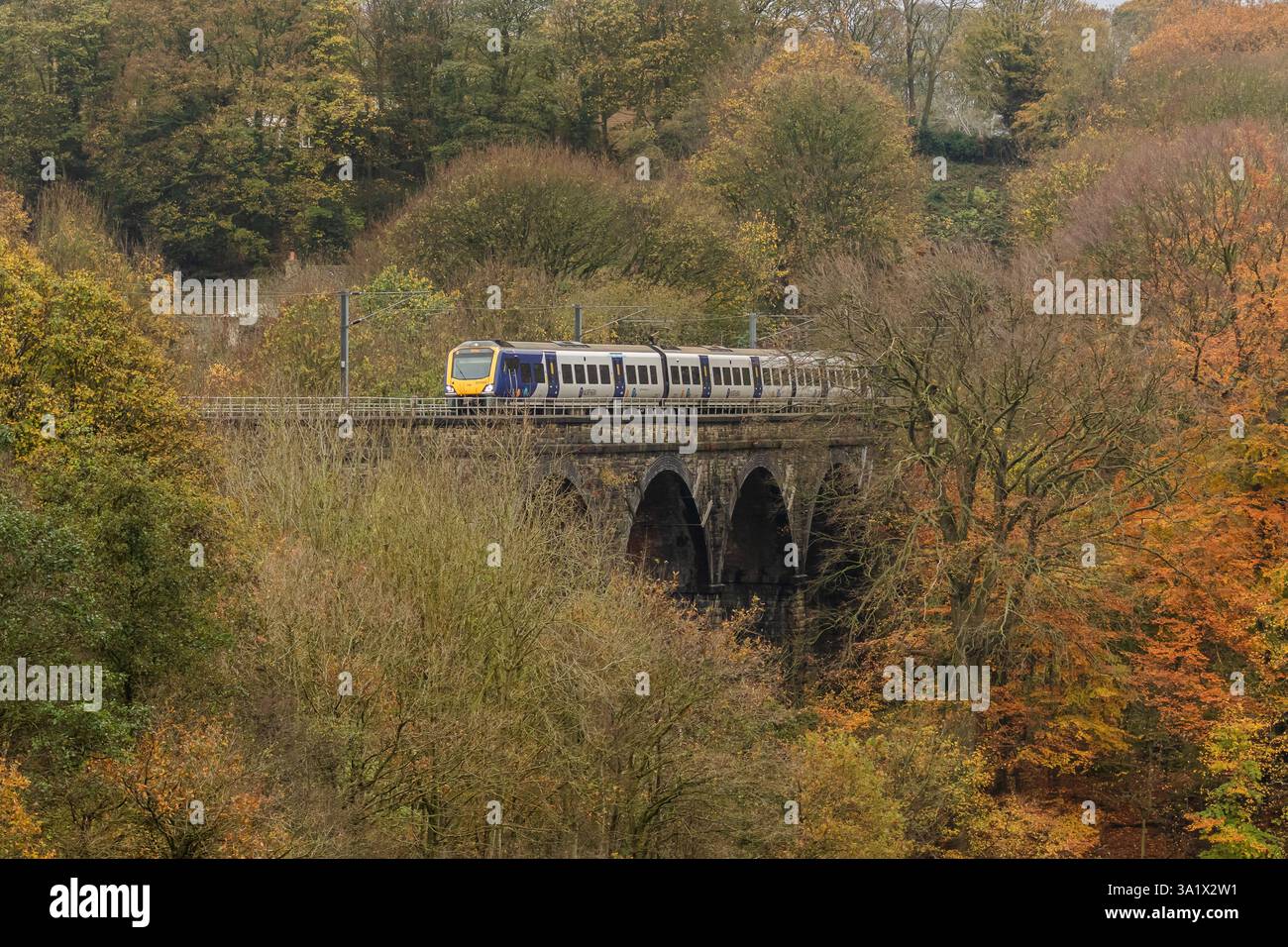 Un treno attraversa un viadotto sulla linea ferroviaria di Wharfedale a Baildon, nello Yorkshire. Il viadotto è circondato da alberi in colore autunnale (autunnale) (colore). Foto Stock