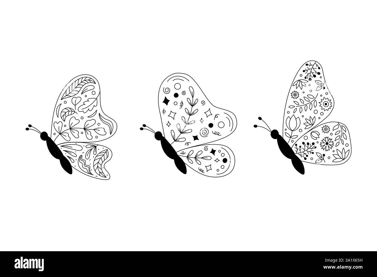 Vista laterale delle farfalle con ornamenti floreali, botanici e astratti sulle ali. Illustrazione isolata degli insetti volanti. Vettore di farfalle con contorno nero Illustrazione Vettoriale