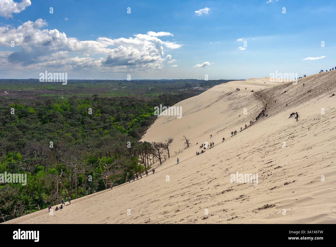 Famosa duna di sabbia lungo la costa che raggiunge un'altezza di 110 m sopra il livello del mare. Arcachon Bay, dipartimento della Gironde, Francia, Foto Stock