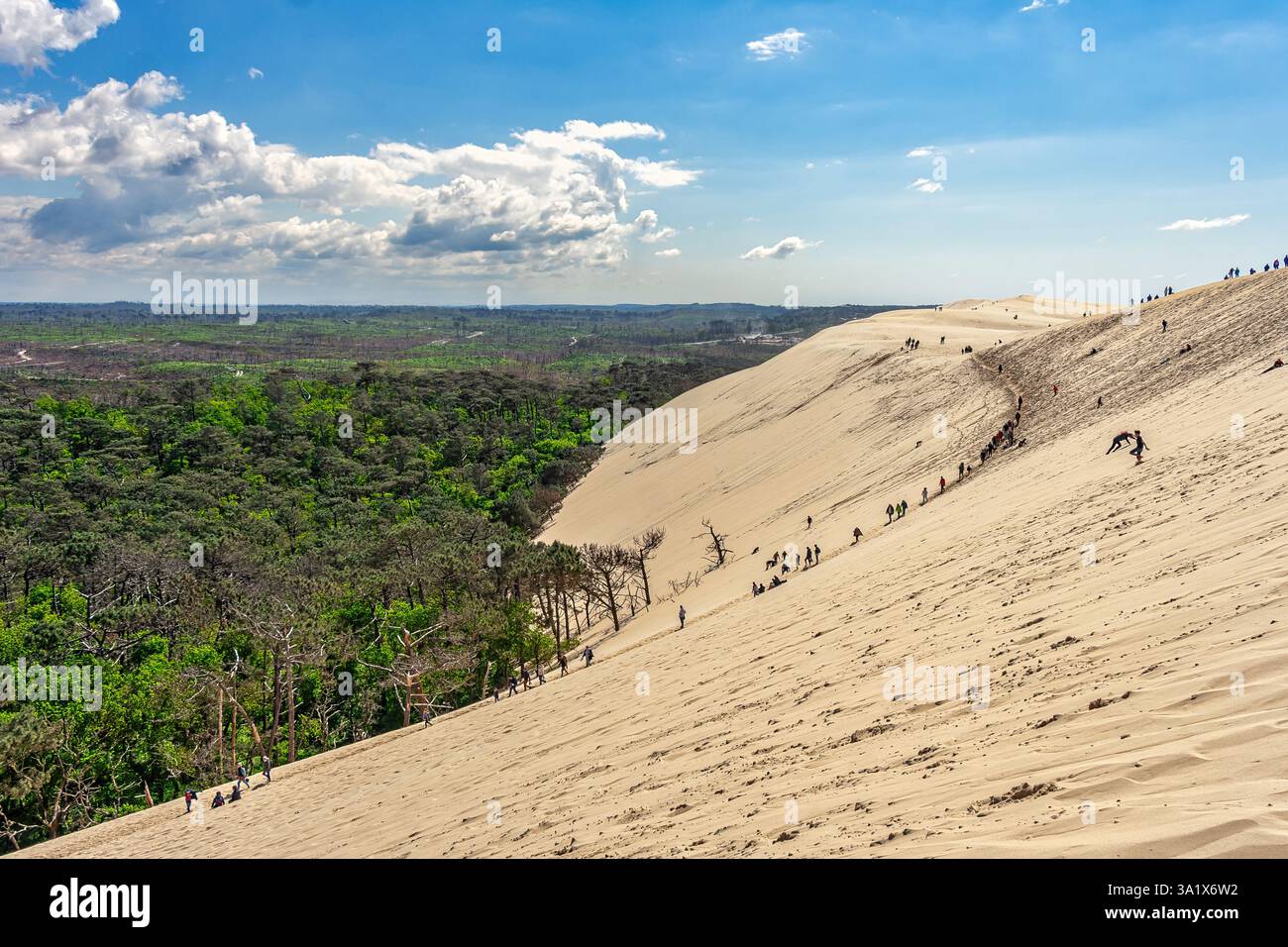 Famosa duna di sabbia lungo la costa che raggiunge un'altezza di 110 m sopra il livello del mare. Arcachon Bay, dipartimento della Gironde, Francia, Foto Stock
