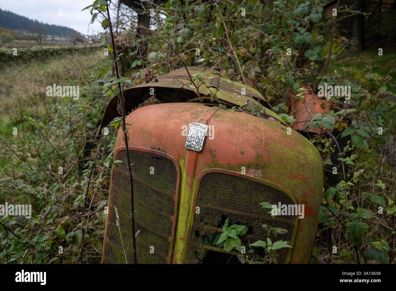 Trattore rosso BMC Nuffield /42 Foto Stock