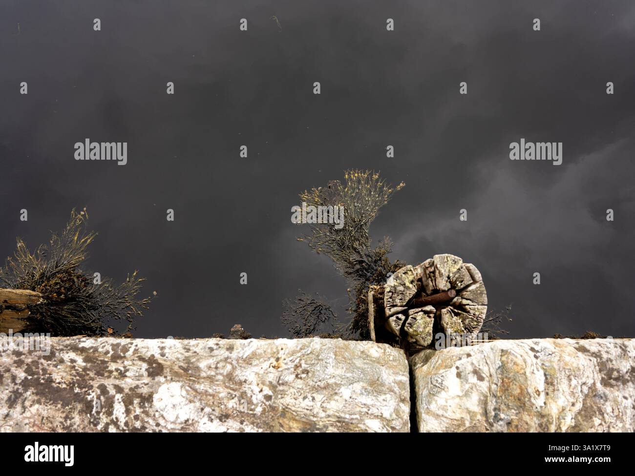 Banchina Loch e alghe marine Foto Stock