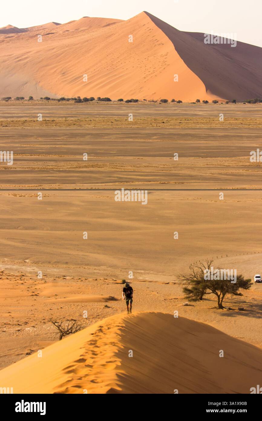 Uomo solitario che sale lungo la cresta dell'alta duna di sabbia conosciuta come duna 45 nel Namib Naukluft National Park in Namibia Foto Stock