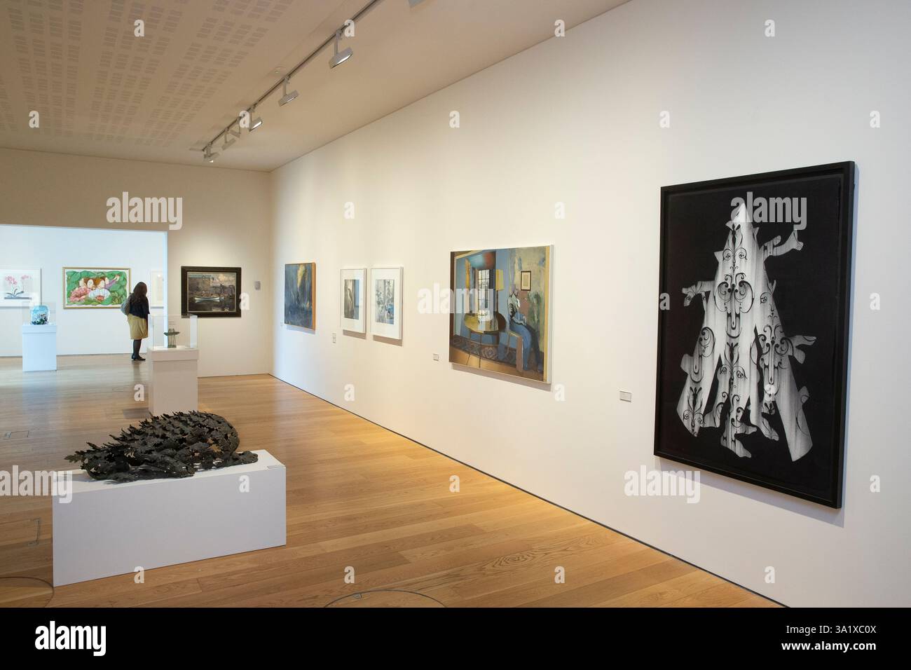 7 aprile 2018 - Biblioteca del lessico, Dún Laoghaire - nella foto al lancio di "and the Women Vocted", una mostra di donne artiste dell'AIB art co Foto Stock