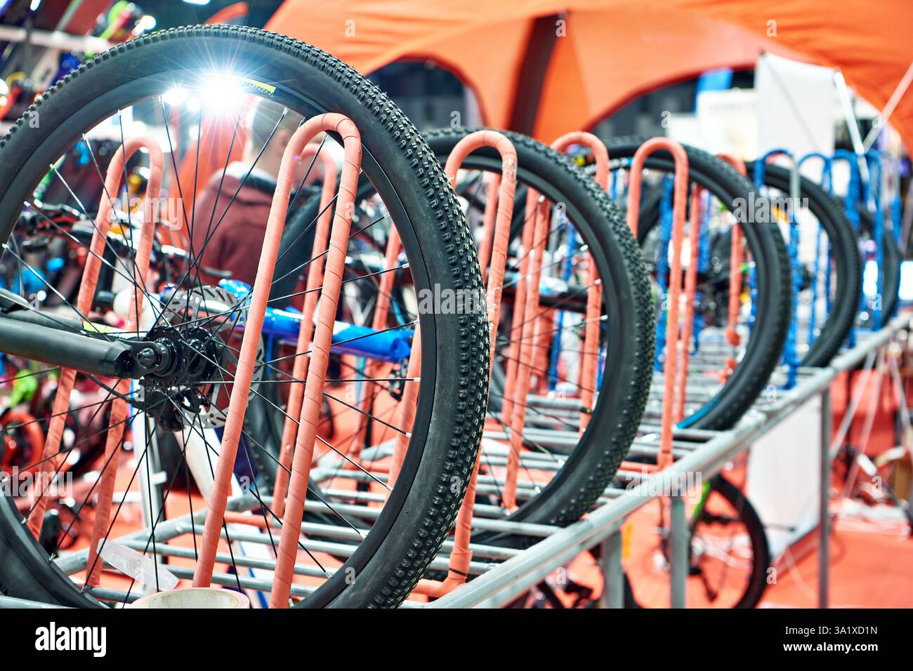 Biciclette su un rack verticale in un punto vendita Foto Stock