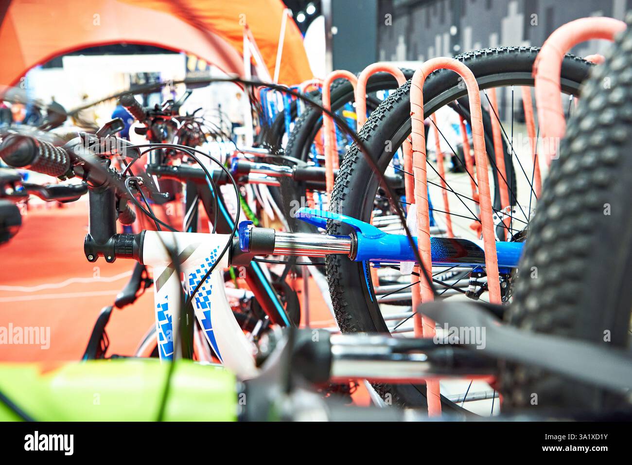 Biciclette su un rack verticale in un punto vendita Foto Stock