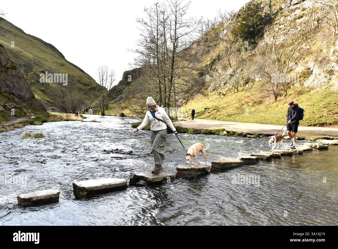 The Stepping Stones a Dovedale, Peak District, Derbyshire, Inghilterra, Regno Unito. Escursionisti con cani che attraversano il fiume dove. Foto Stock