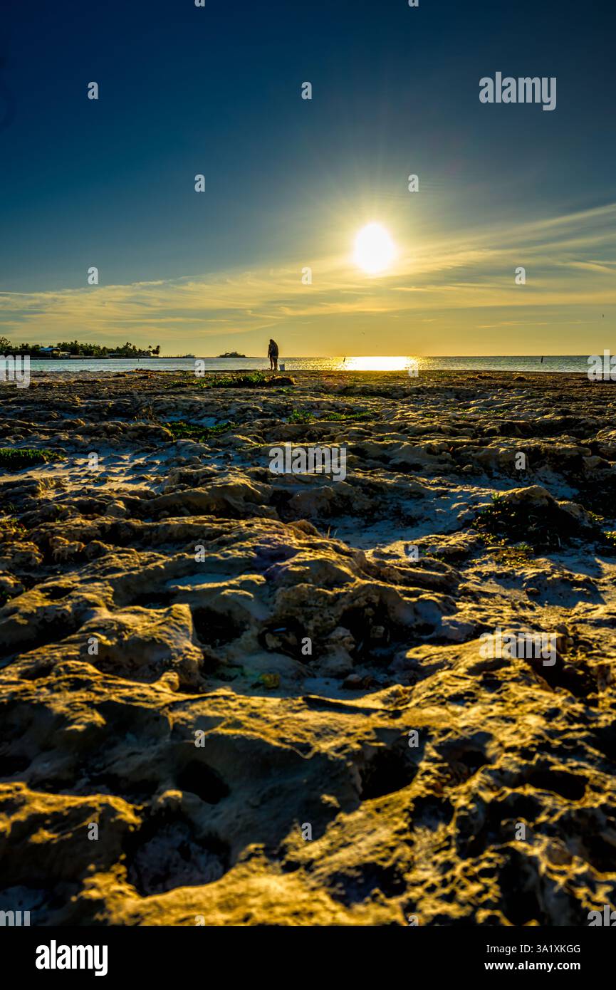 La mattina presto sulla parte calcarea di Sombrero Beach a Marathon Key, Lower Florida Keys Foto Stock
