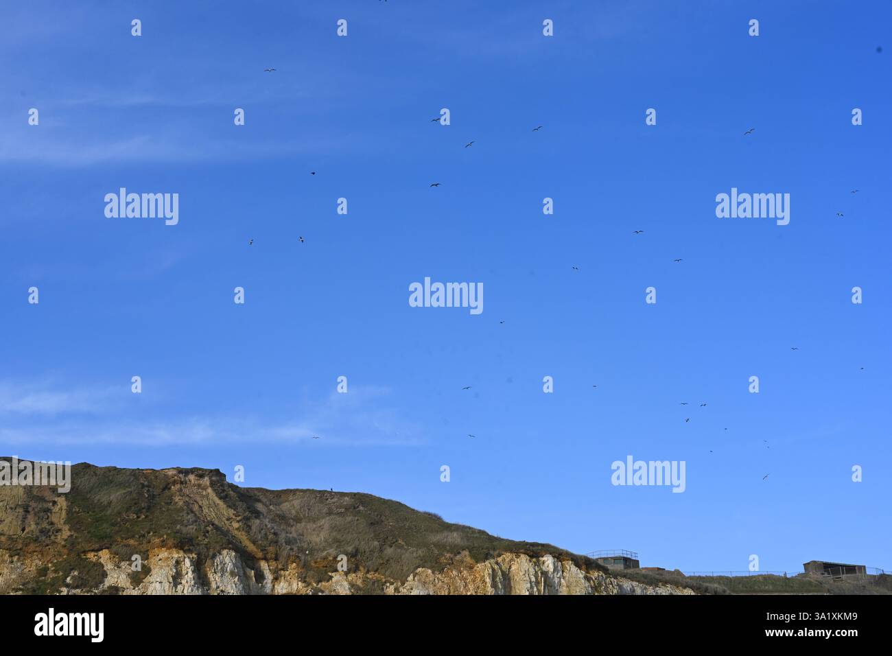 cima della scogliera e cielo azzurro con uccelli che volano Foto Stock