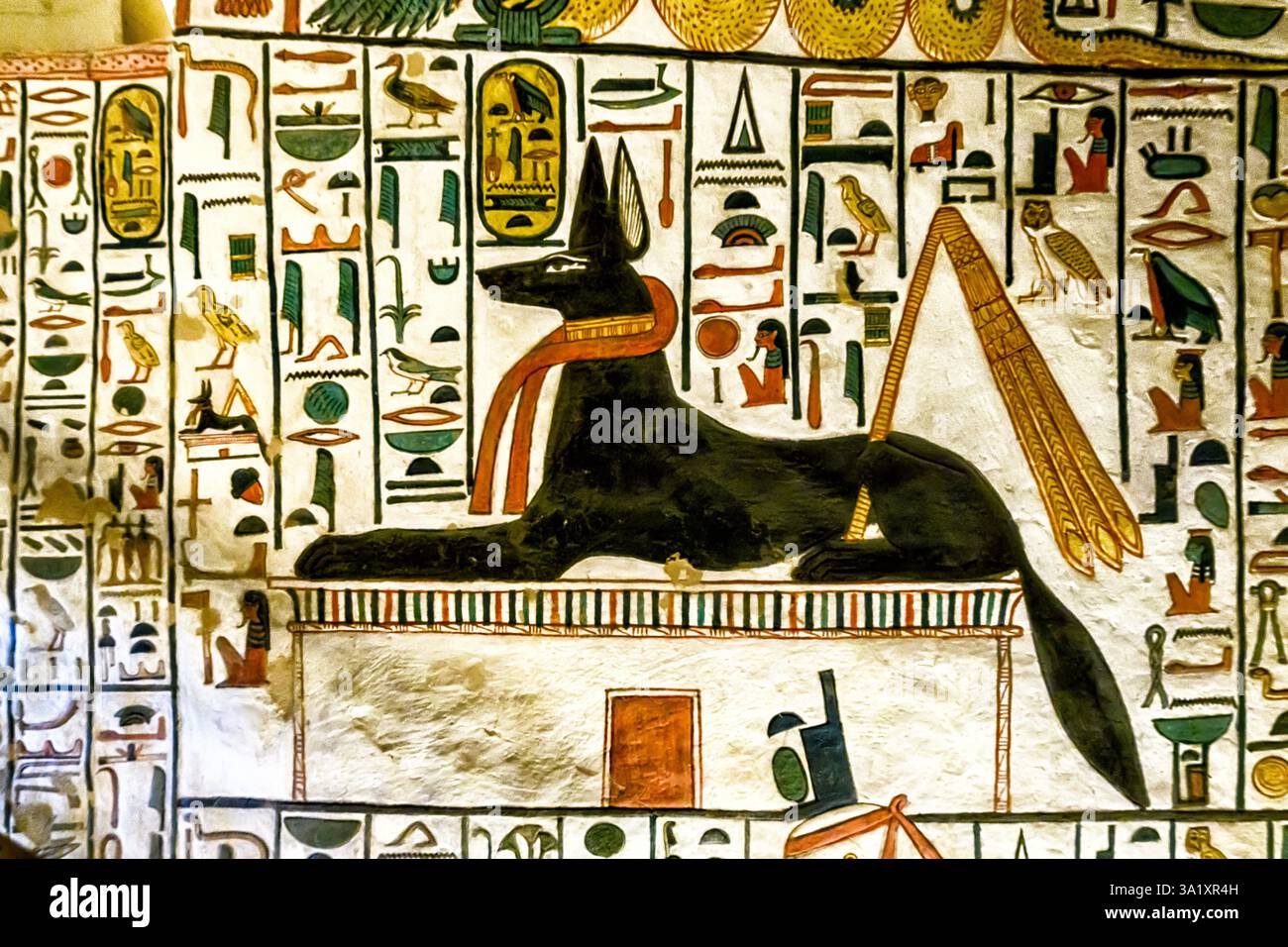 Sulla parete sinistra della scalinata QV66 nella tomba di Nefertari un'immagine dello sciacallo nero Anubis disteso su un santuario con una fascia legata al collo Foto Stock