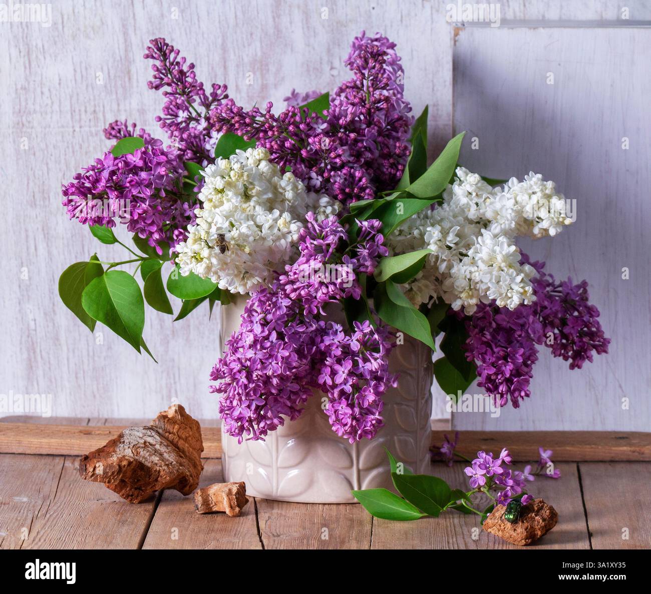 Bouquet di lillate multicolore, trucioli di legno e insetti su sfondo chiaro. Foto Stock