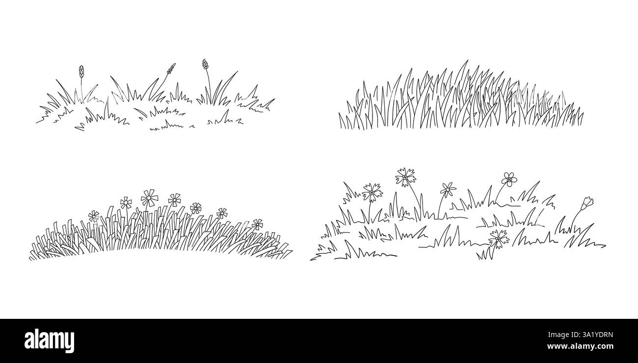Disegna l'erba del prato. Fiancheggia il campo d'arte primaverile con ciuffi di erbe selvatiche naturali e fiori selvatici in fiore, semplice erba disegnata a mano vettoriale decorativo Illustrazione Vettoriale