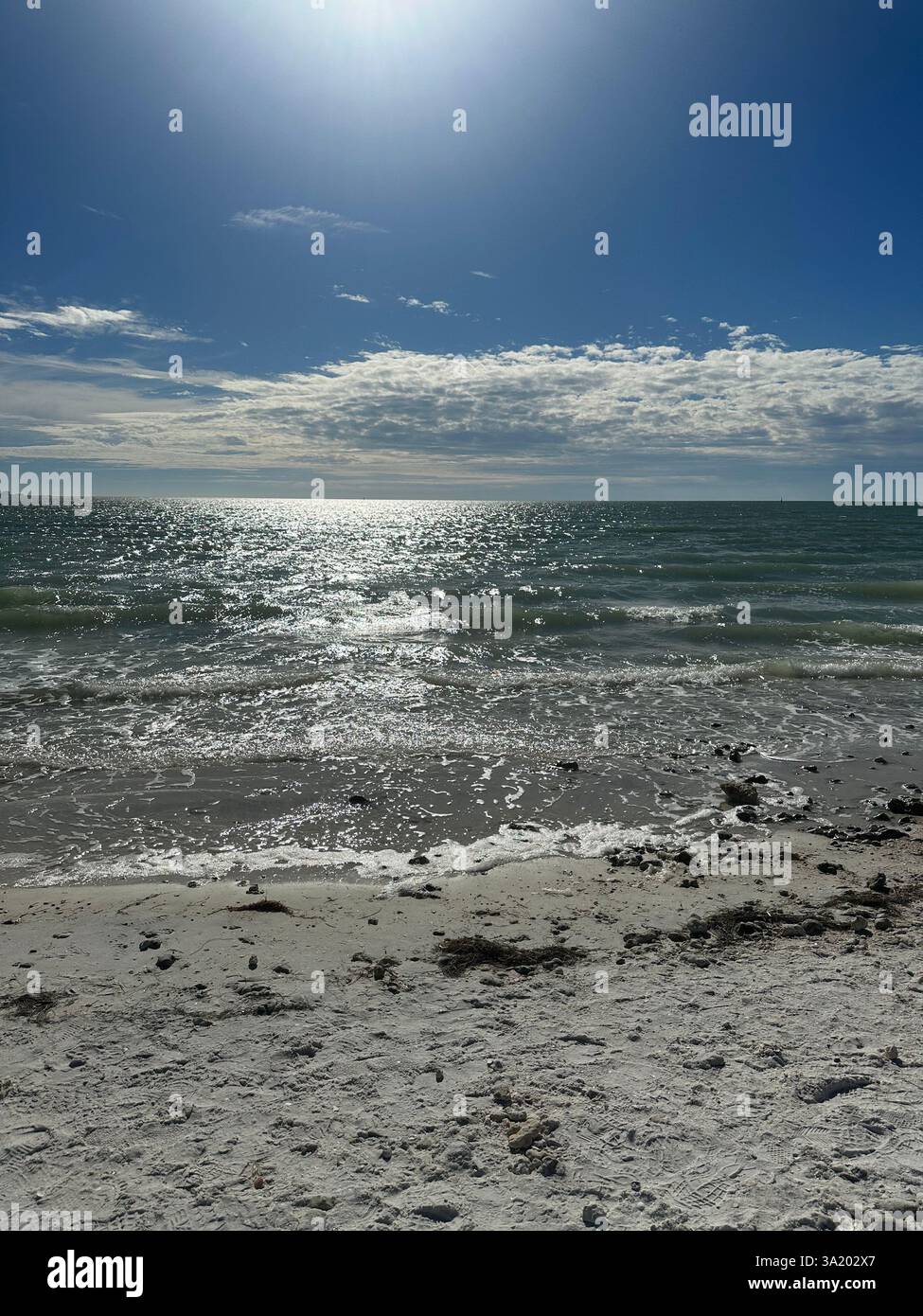 Giornate estive - Immagine stock catturata con smartphone