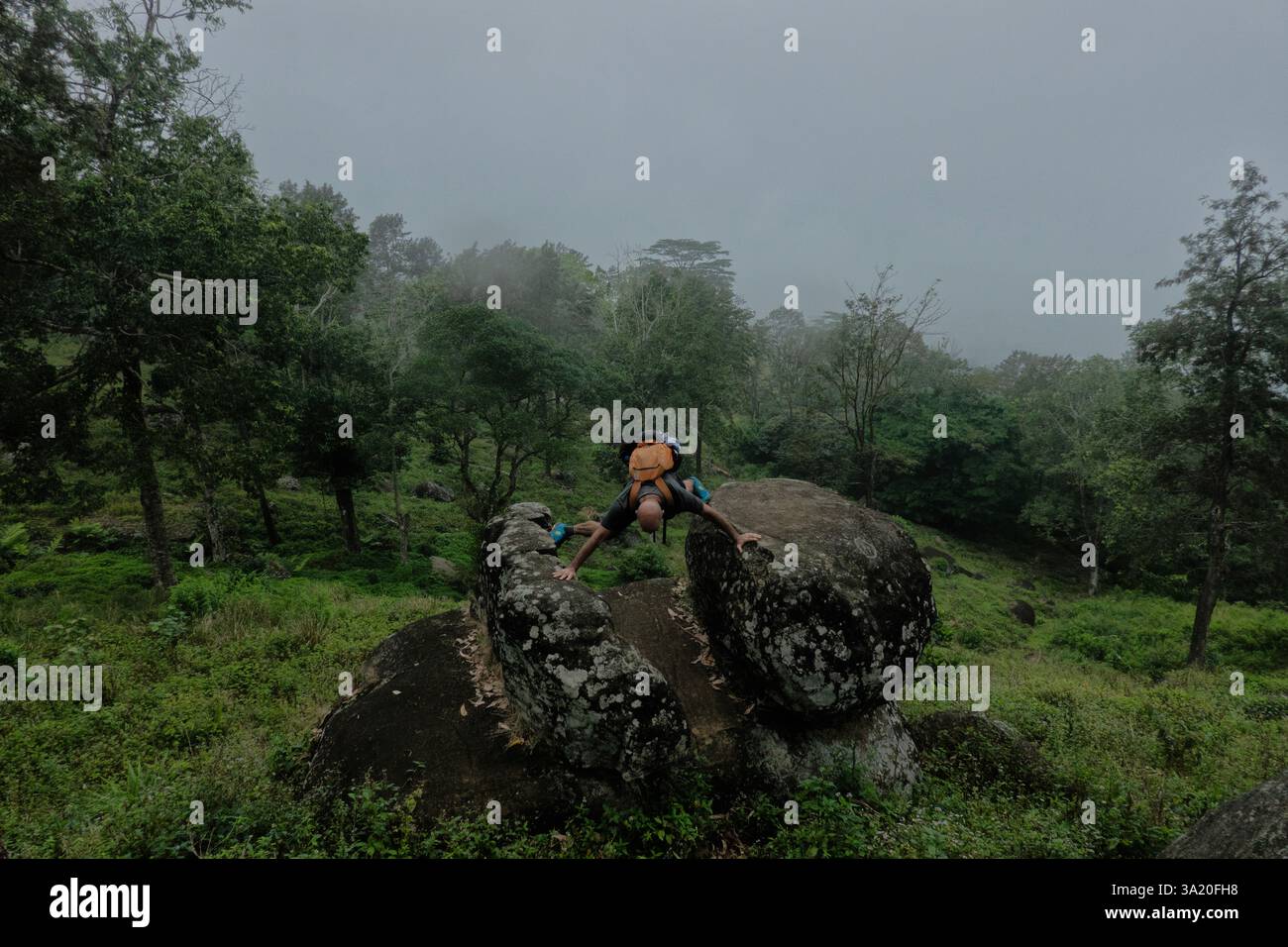 Divertiti sul Pekoe Trail, Galaha, Sri Lanka Foto Stock