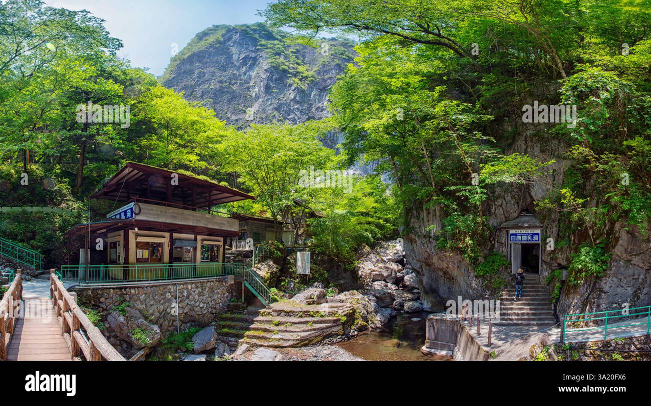 Un visitatore sale gli scalini all'entrata delle grotte calcaree di Nippara nel lussureggiante quartiere Oku-Tama di Tokyo, Giappone, il 23 maggio 2016. ROB GILHOOL Foto Stock