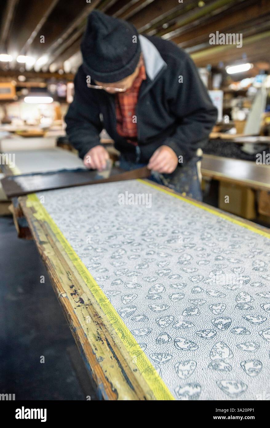 Takushin Asano produce tessuti utilizzando la tecnica Tokyo Some Komon di tintura fine-pattern presso i laboratori gestiti da Tomita Some Kogei nel reparto di Shinjuku Foto Stock