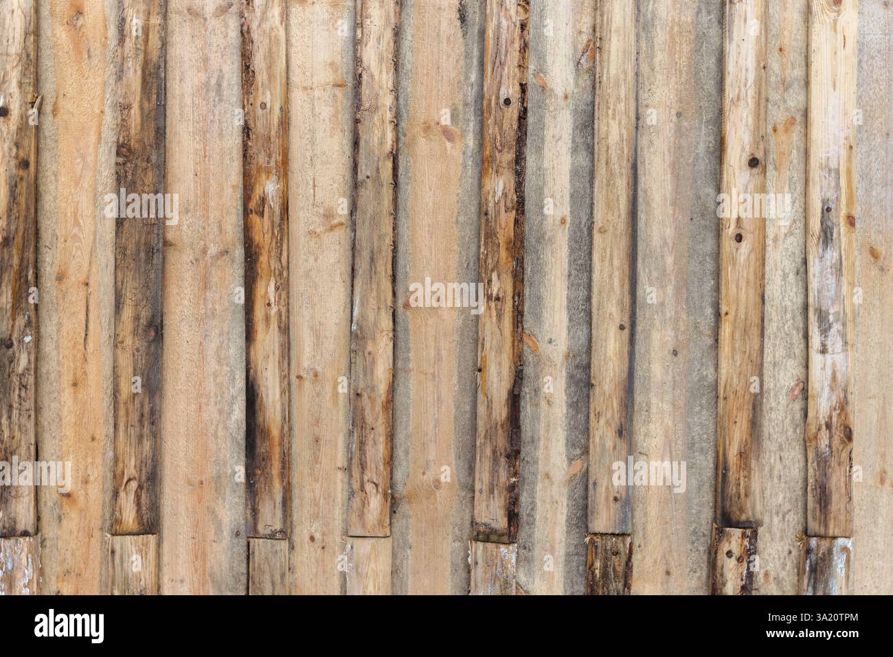 Una superficie in legno resistente agli agenti atmosferici composta da tavole di legno verticali usurate con un'estetica dai toni naturali, adatta a temi rustici e vintage. Sfondo Foto Stock