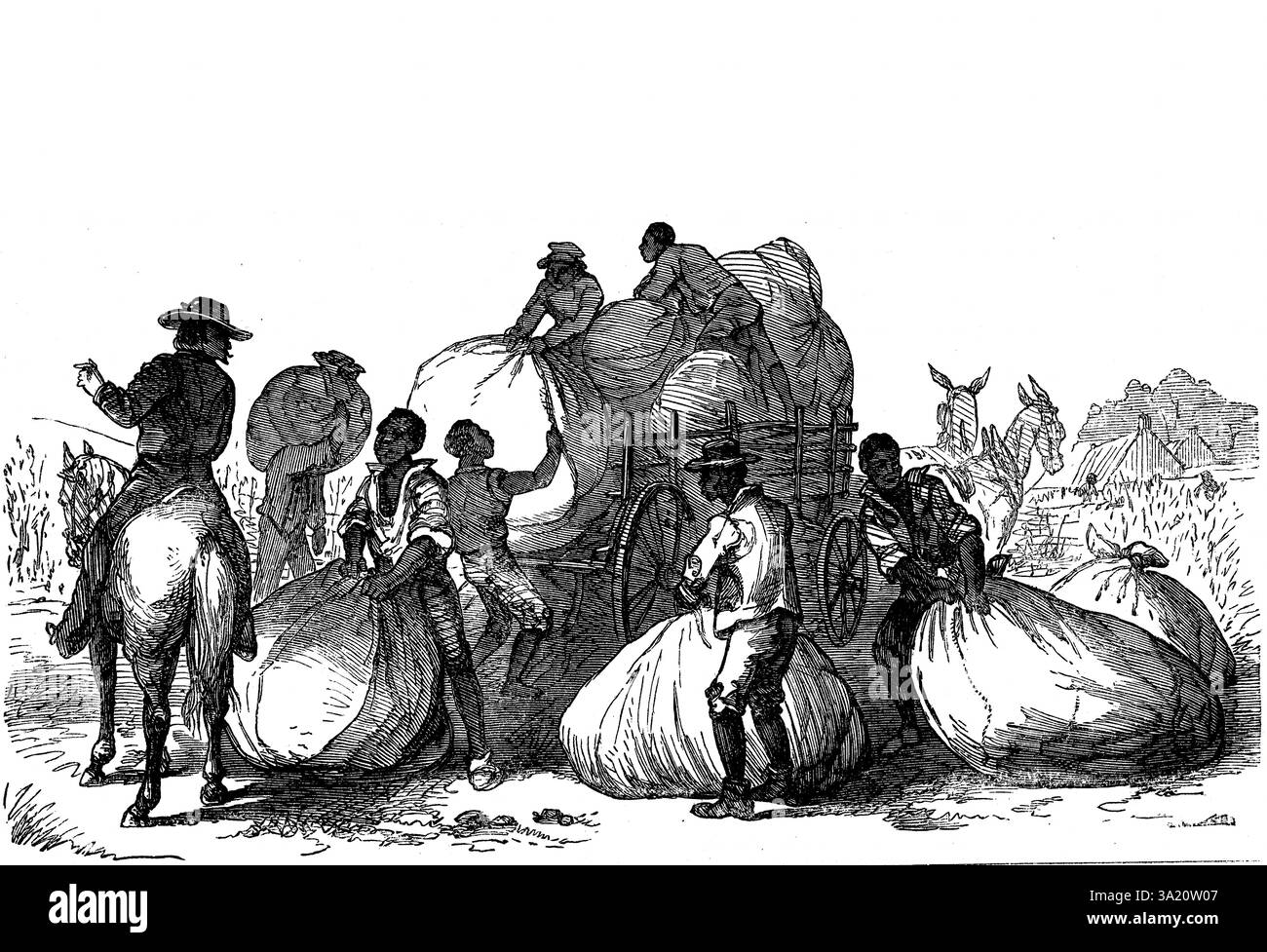 Schiavi che caricano sacchi di cotone sul carrello Southern states of USA. 1860 incisione in legno Foto Stock