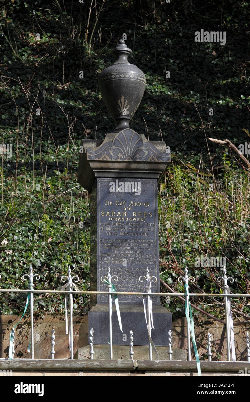 Tomba di Sarah Jane Rees. "Cranogwen" 1839-1916. Gallese insegnante, poeta, Bard. Attivista della Temperance, maestro marinaio. Foto Stock