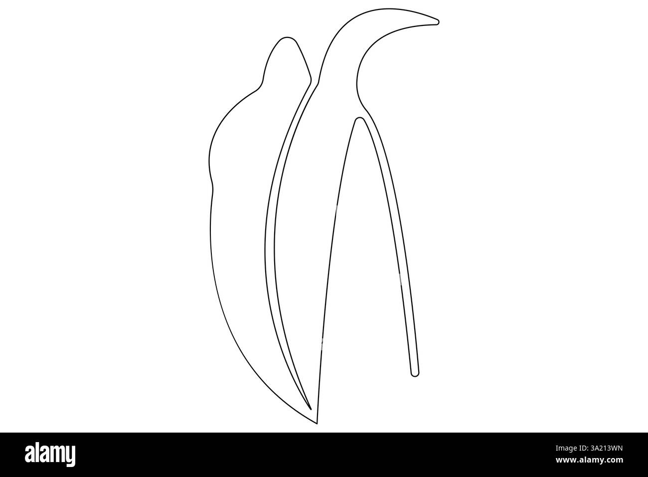 Illustrazione vettoriale, disegno continuo di una linea del design delle foglie di palma Illustrazione Vettoriale