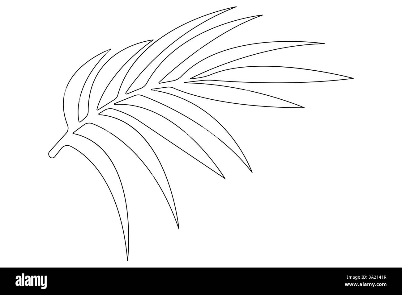 Illustrazione vettoriale, disegno continuo di una linea del design delle foglie di palma Illustrazione Vettoriale